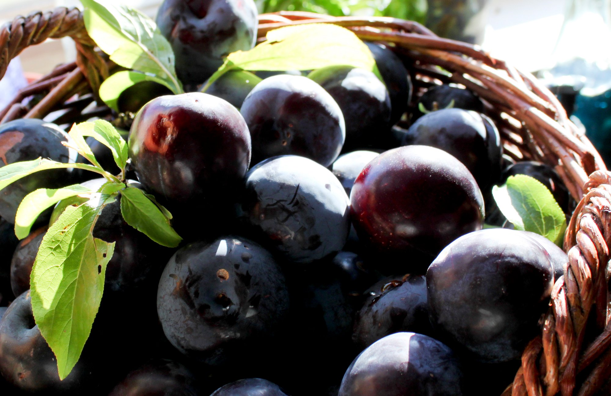 Plums